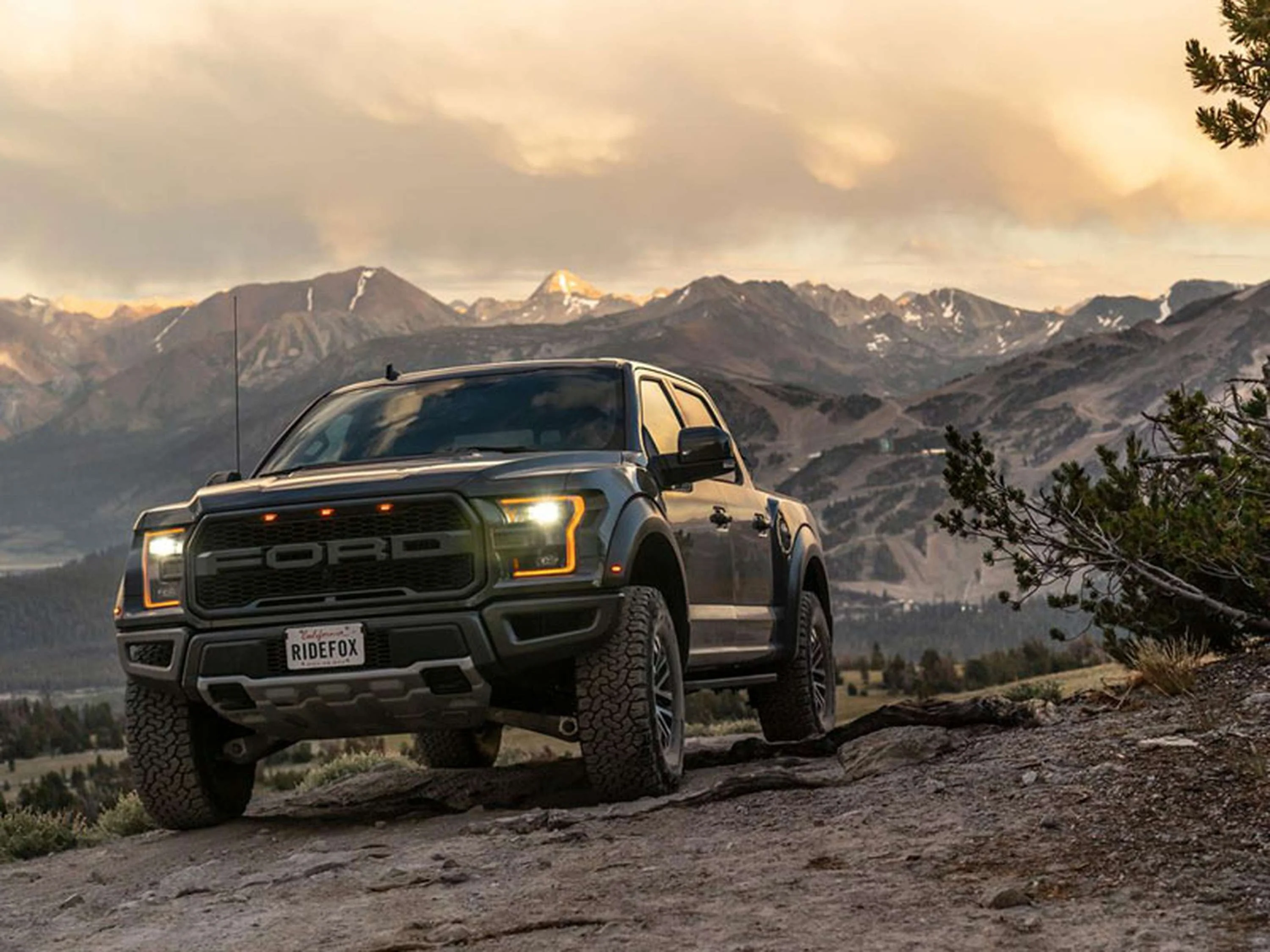Camburg Ford Raptor '17-18 FOX 3.0 Factory DSC Kit (UNI Upper Control Arm) - Image 2