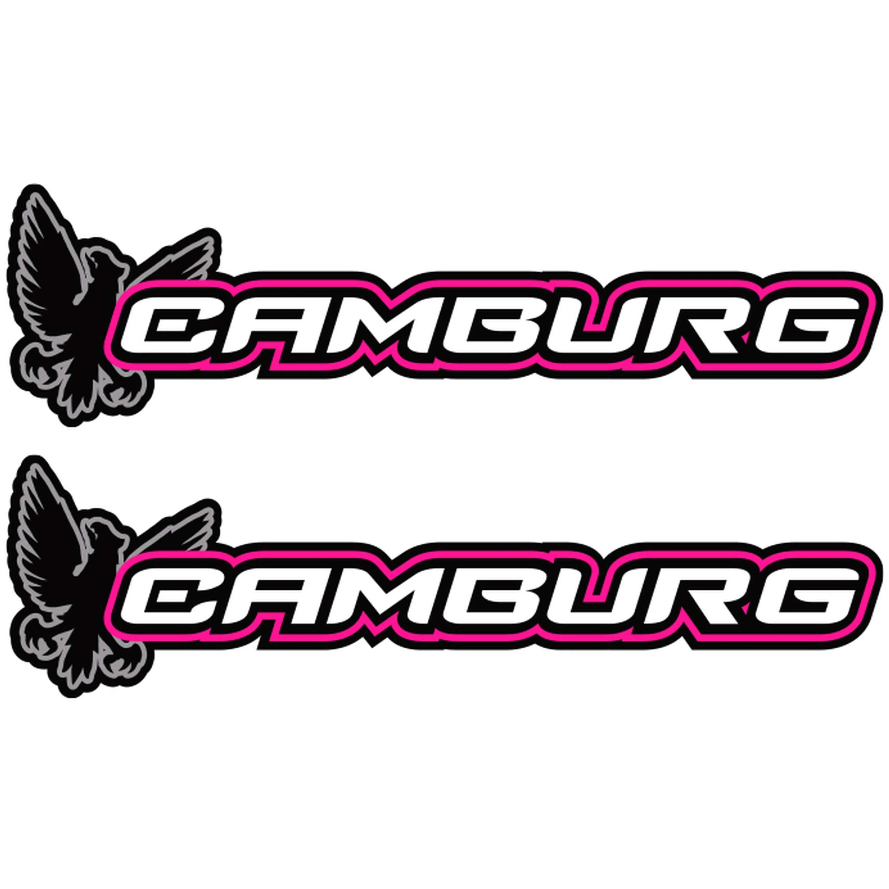 Camburg Sticker 2-Pack - BCA Pink