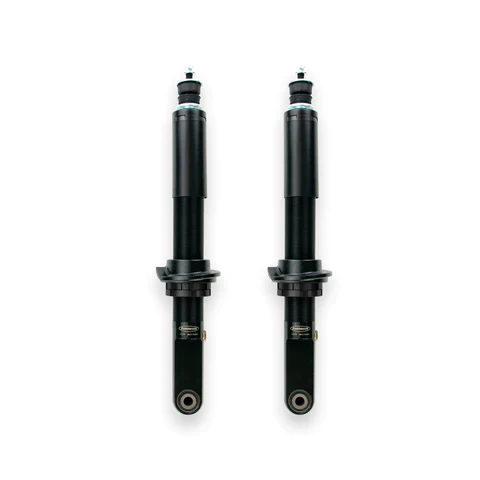 Dobinsons IMS Struts Front Pair for 2019-2023 Ford Ranger 4WD